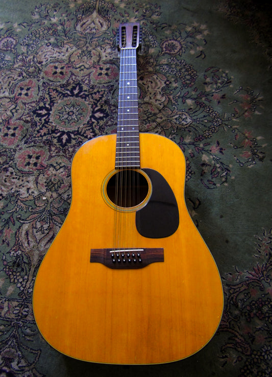 1972 Martin D 12 20
