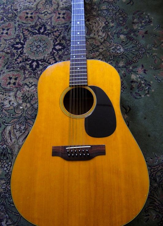1972 Martin D 12 20