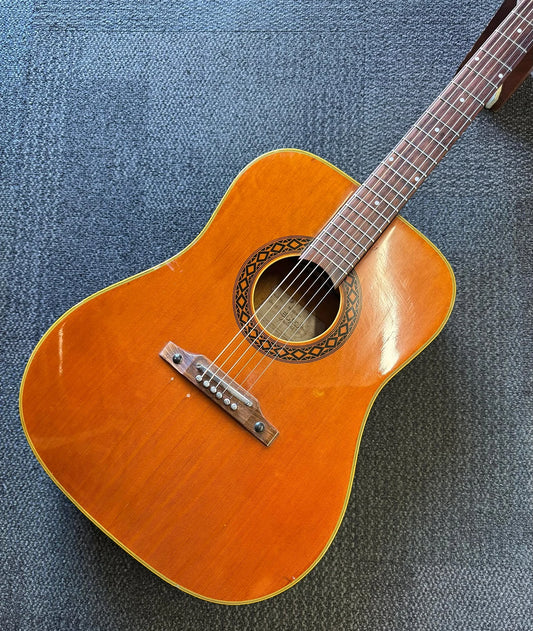 Eko Ranger VI Mid 70s - Natural
